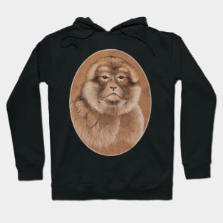 Barbary Macaque Hoodie